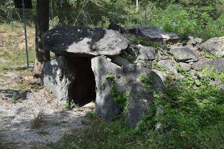 Dolmen 17017 Roccavignale SV, Italia